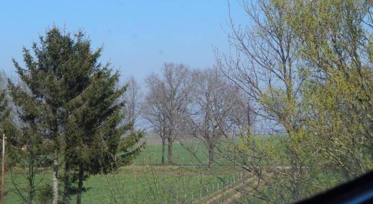 foto15