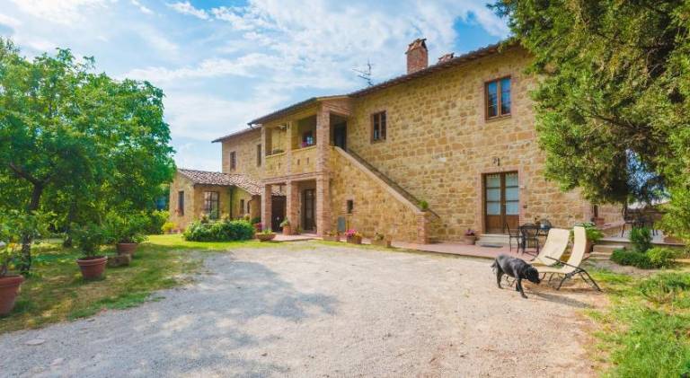 Farm with yard & grill — photo 4