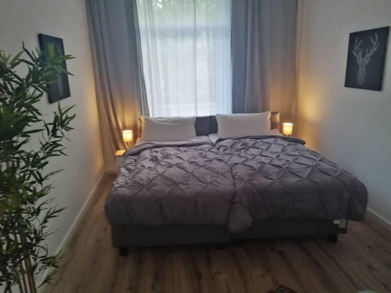 foto1