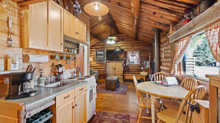 Cabin Red Lodge