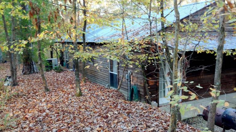 Cabin Franklin