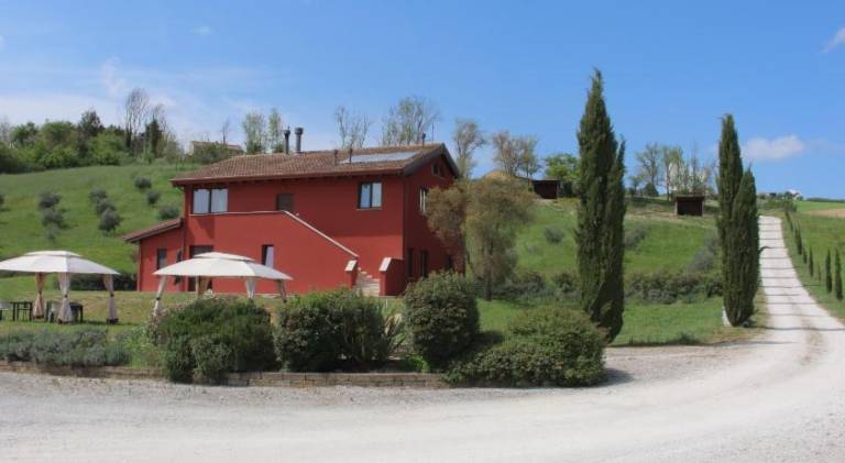 Farm with garden — photo 4