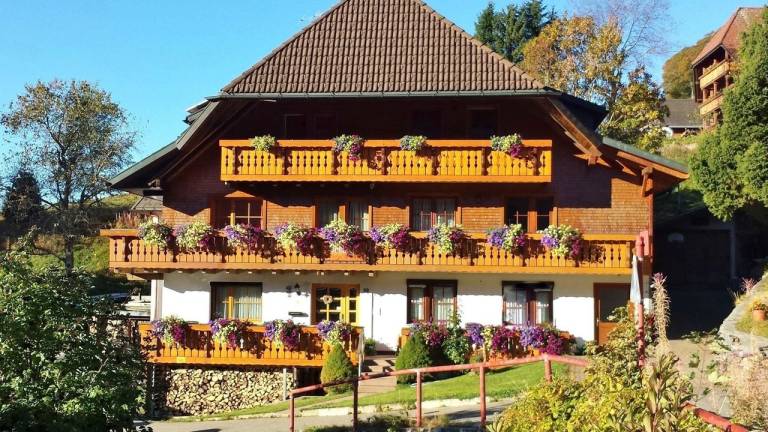 Ferienwohnung  Todtnauberg