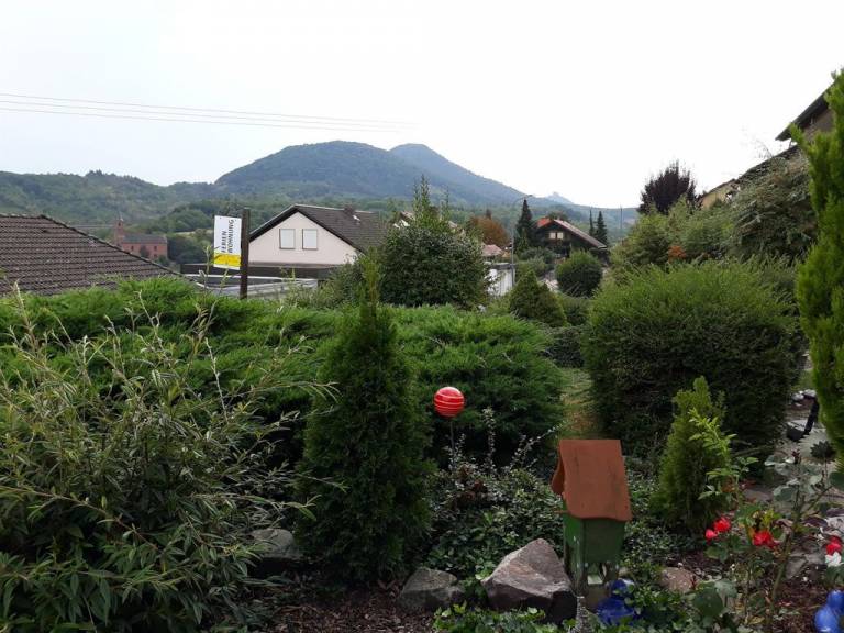 foto18