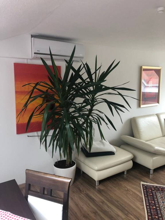 Apartment  Oberasbach