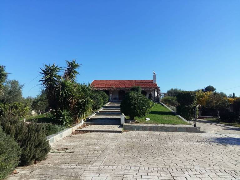 καταφύγιο  Chalcis