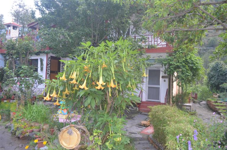 Bed and breakfast Chamba