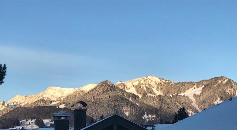 foto11