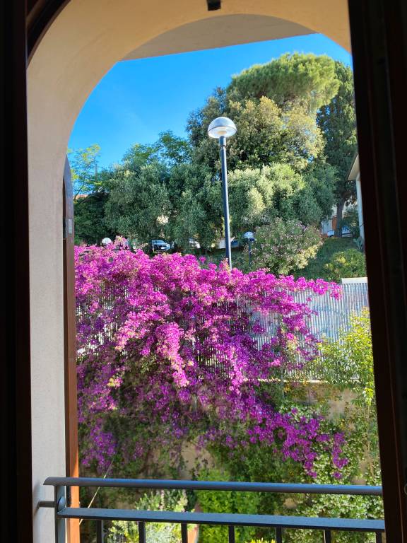 foto20