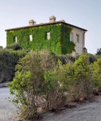 Appartamento Capalbio Scalo