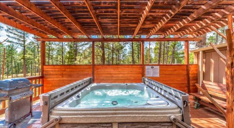 House with jacuzzi | Pets are welcome — photo 3