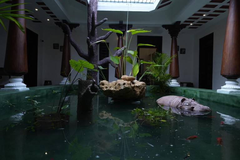 foto7