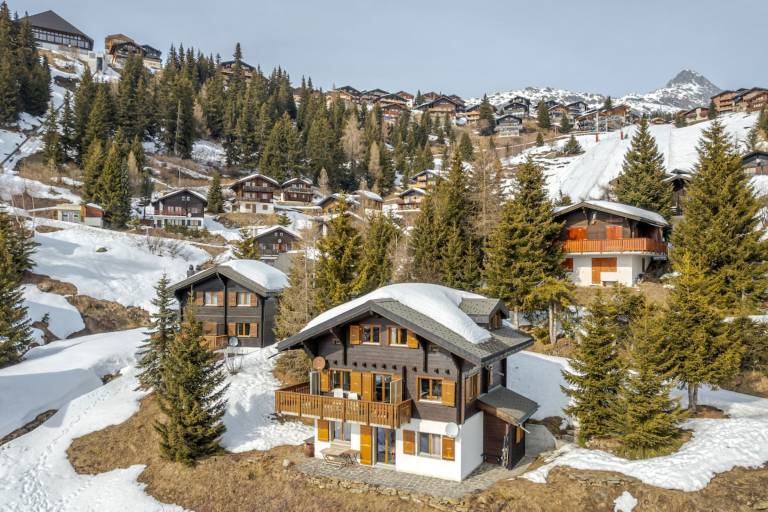 Ferienwohnung Bettmeralp