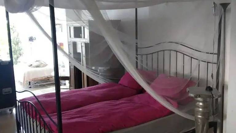 foto6