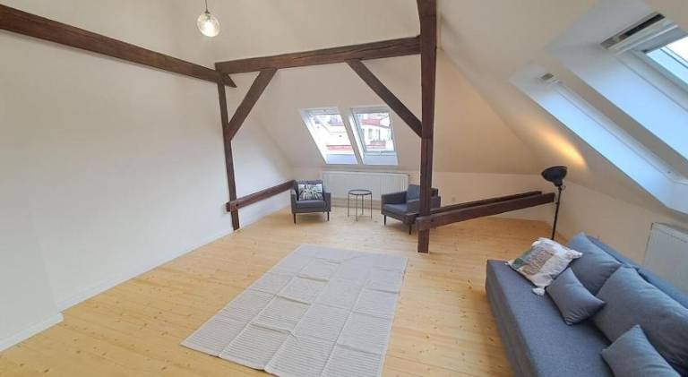 Pleasant rental apartment | Next to Wenceslas Square | Pets allowed in Prague