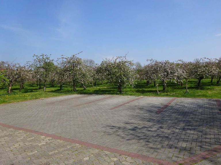 foto19