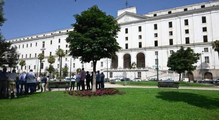 House with garden | Close to Naples Cathedral | Suitable for remote work — photo 4