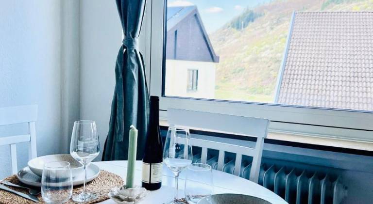 Beautiful rental apartment | Dogs allowed in Cochem