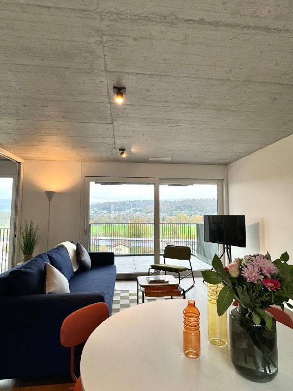 Apartment Aarau