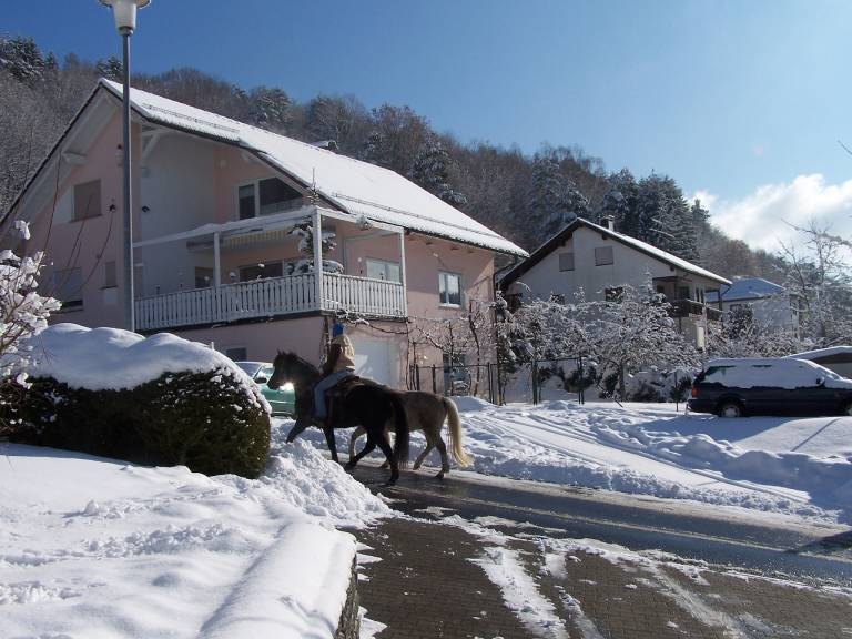 Lovely apartment with BBQ | Pets allowed — photo 2