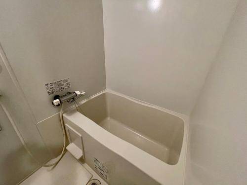 foto19