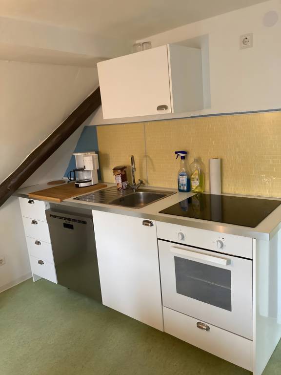 Fully equipped wonderful apartment | Good for workation | Pets are welcome — photo 4