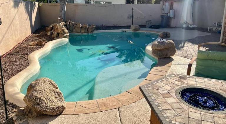 House with pool — photo 4