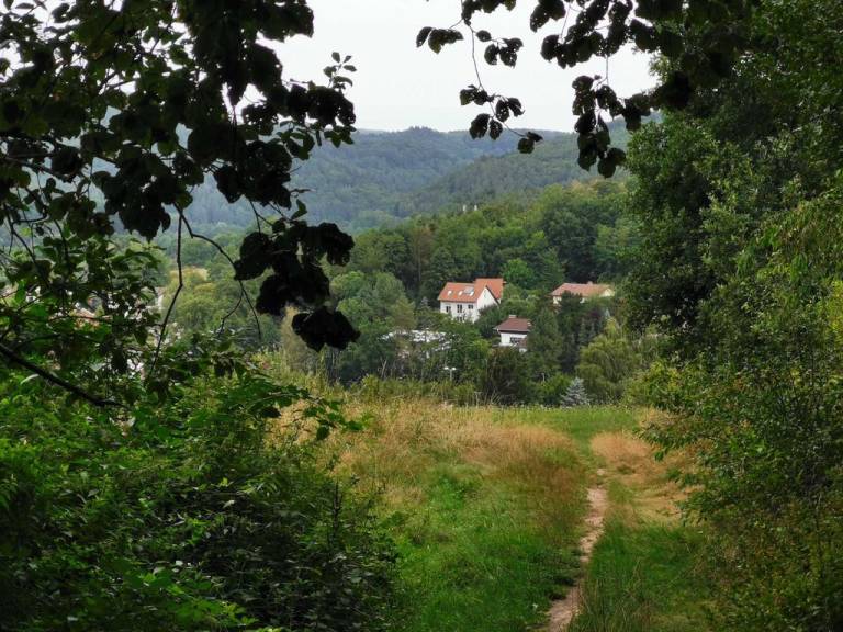foto18
