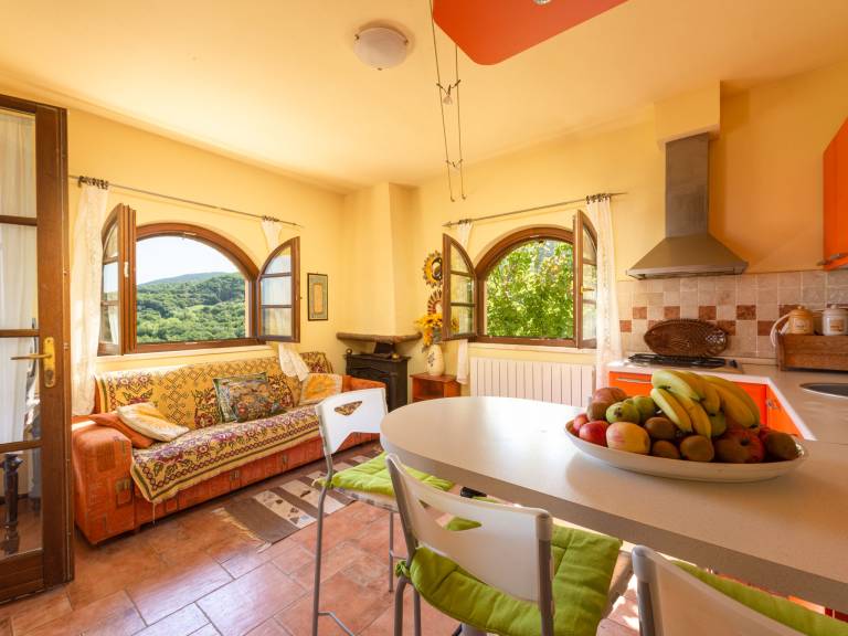 House with terrace & garden — photo 3