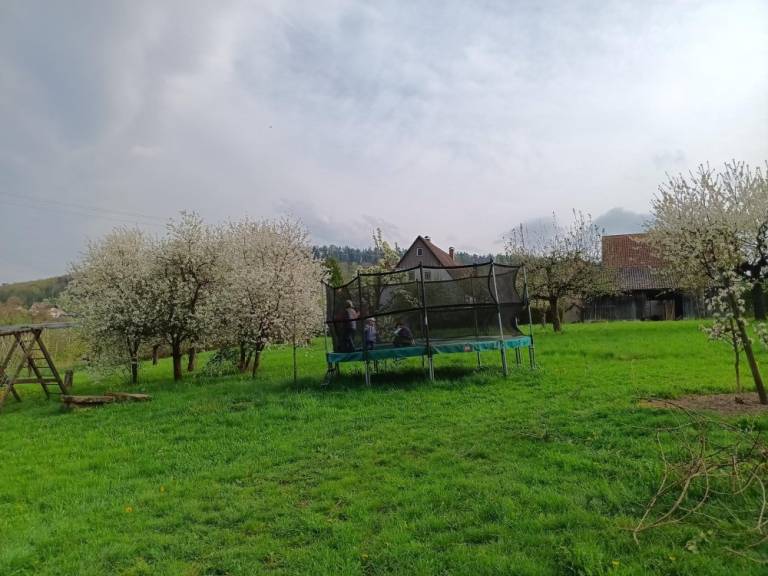 Ferienwohnung  Löwenstein