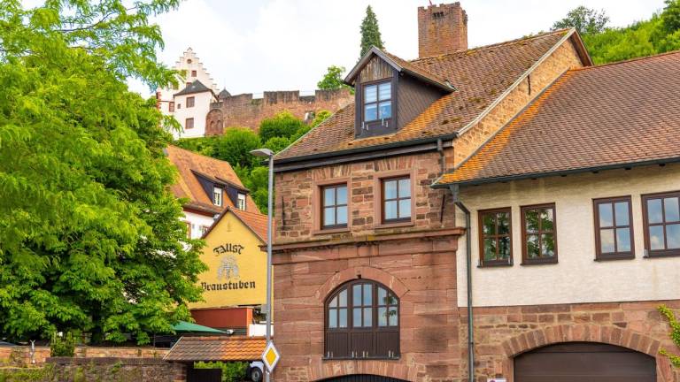 Ferienwohnung  Bürgstadt