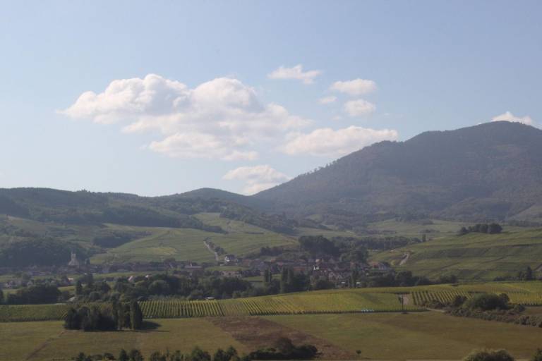 foto44