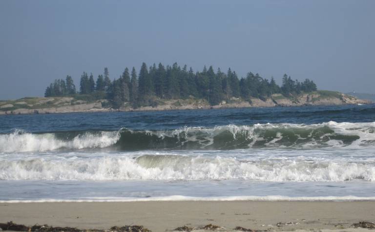 Cabin Popham Beach