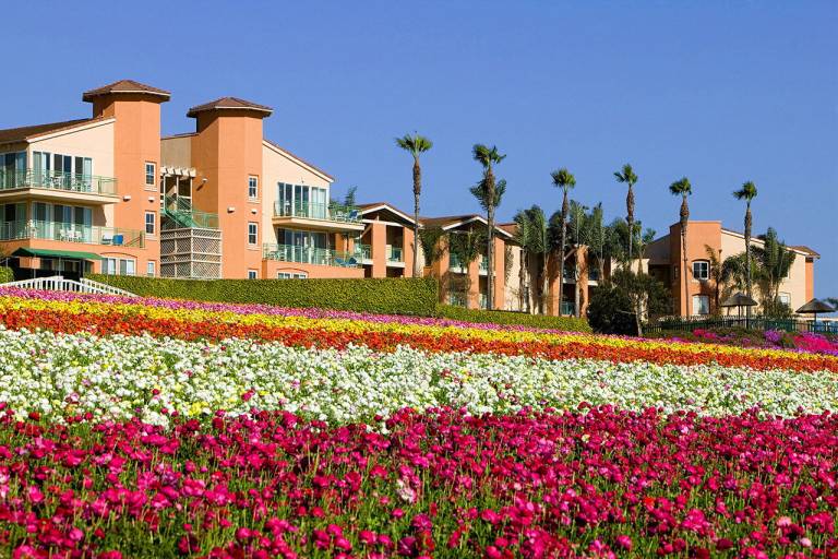 Resort  Carlsbad