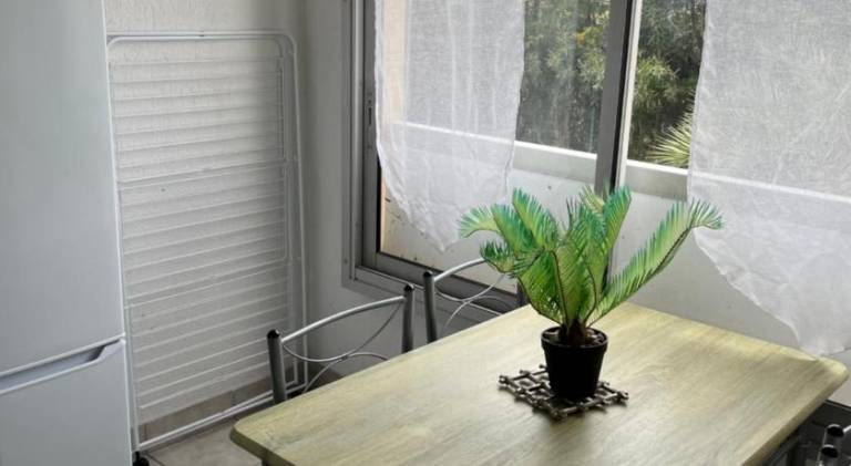 Pleasant holiday apartment with yard & private pool | Pet-friendly — photo 3