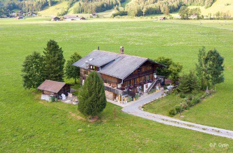 Ferienwohnung Lenk