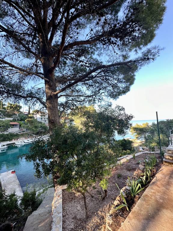 foto12