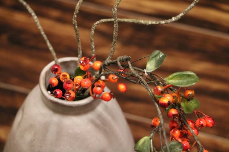 60 m&sup2; Ferienwohnung