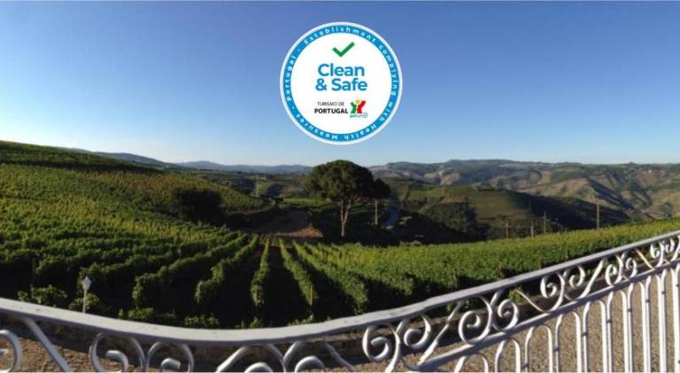 Casa Covas do Douro