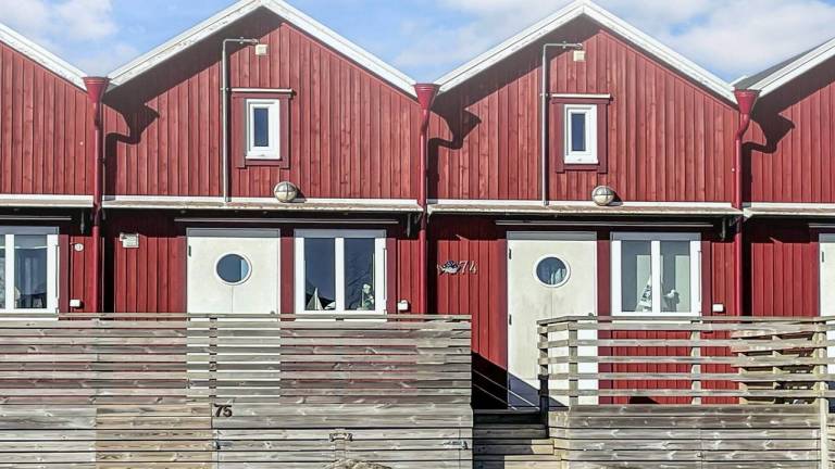 Ferienhaus Mellerud