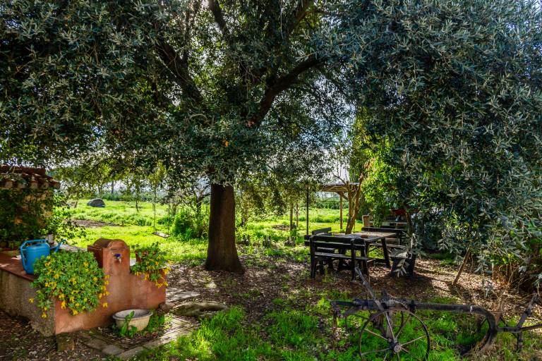 Farmhouse Braccagni