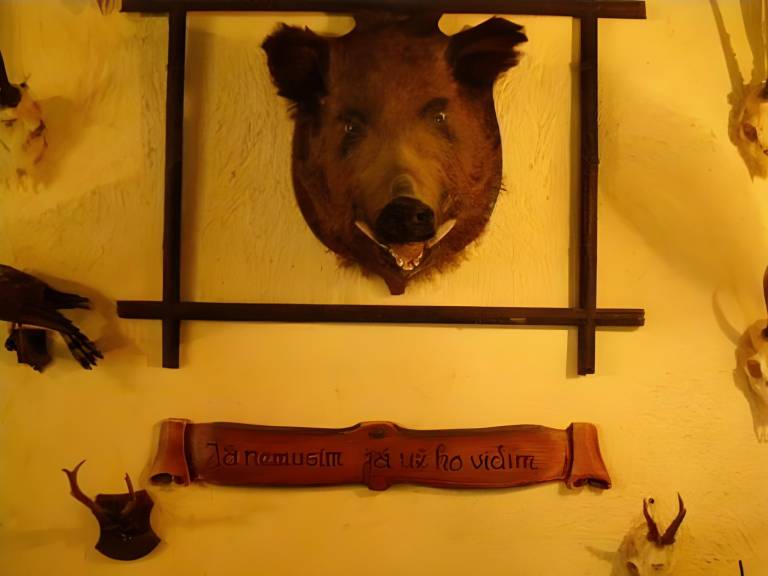 Penzion u Hajneho Bedricha in Harrachov