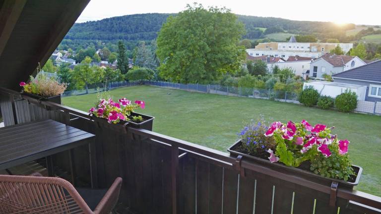 Ferienwohnung  Bad König