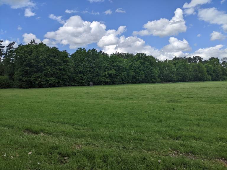 foto15