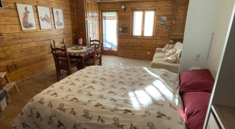 Pleasant holiday apartment | Pets allowed — photo 2
