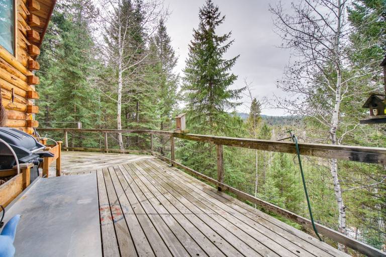 ‘Roots Rustic Retreat:’ Tree-Lined Cabin in McCall — photo 2