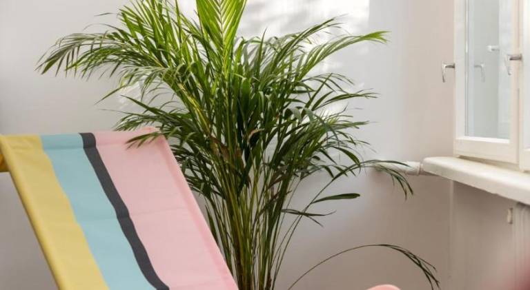 Holiday apartment | Pets are welcome — photo 5