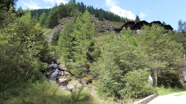 foto4