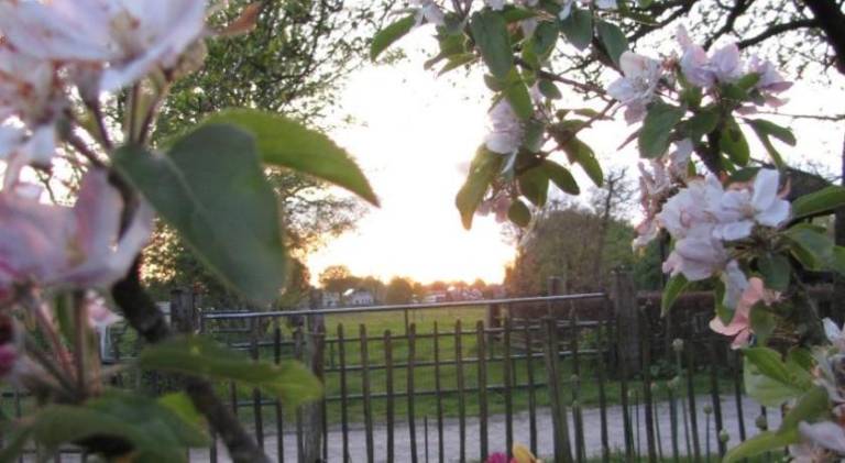 foto16