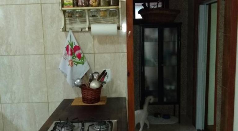 foto17
